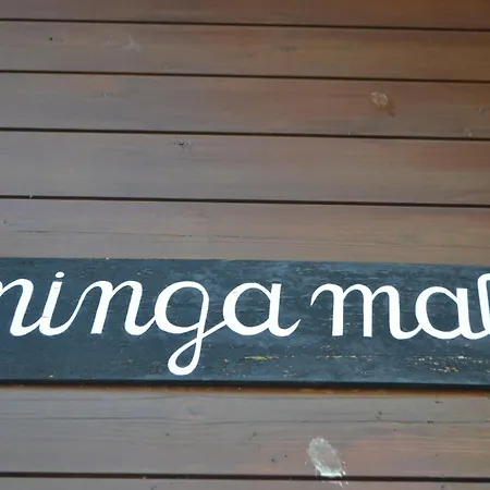 Lejlighed Minga Mal Saas Fee